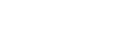 Digitaliga